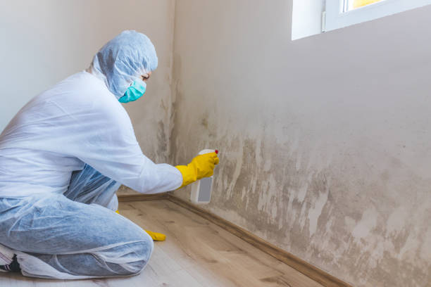 Licensed Commercial Mold Remediation service in Wake, VA - 24 Hour Mold Removal