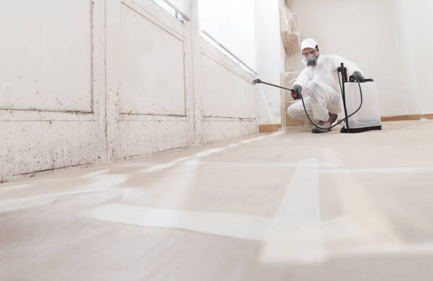 24/7 Emergency Commercial Mold Remediation experts in Wake, VA