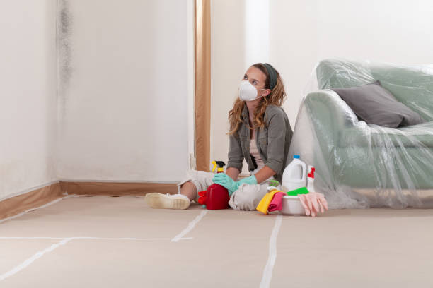 Reliable Commercial Mold Remediation contractor in Wake, VA by 24 Hour Mold Removal