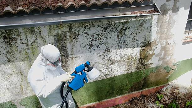 Top rated local Commercial Mold Remediation specialists in Wake, VA